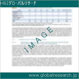 グローバルリサーチ調査レポートのイメージ